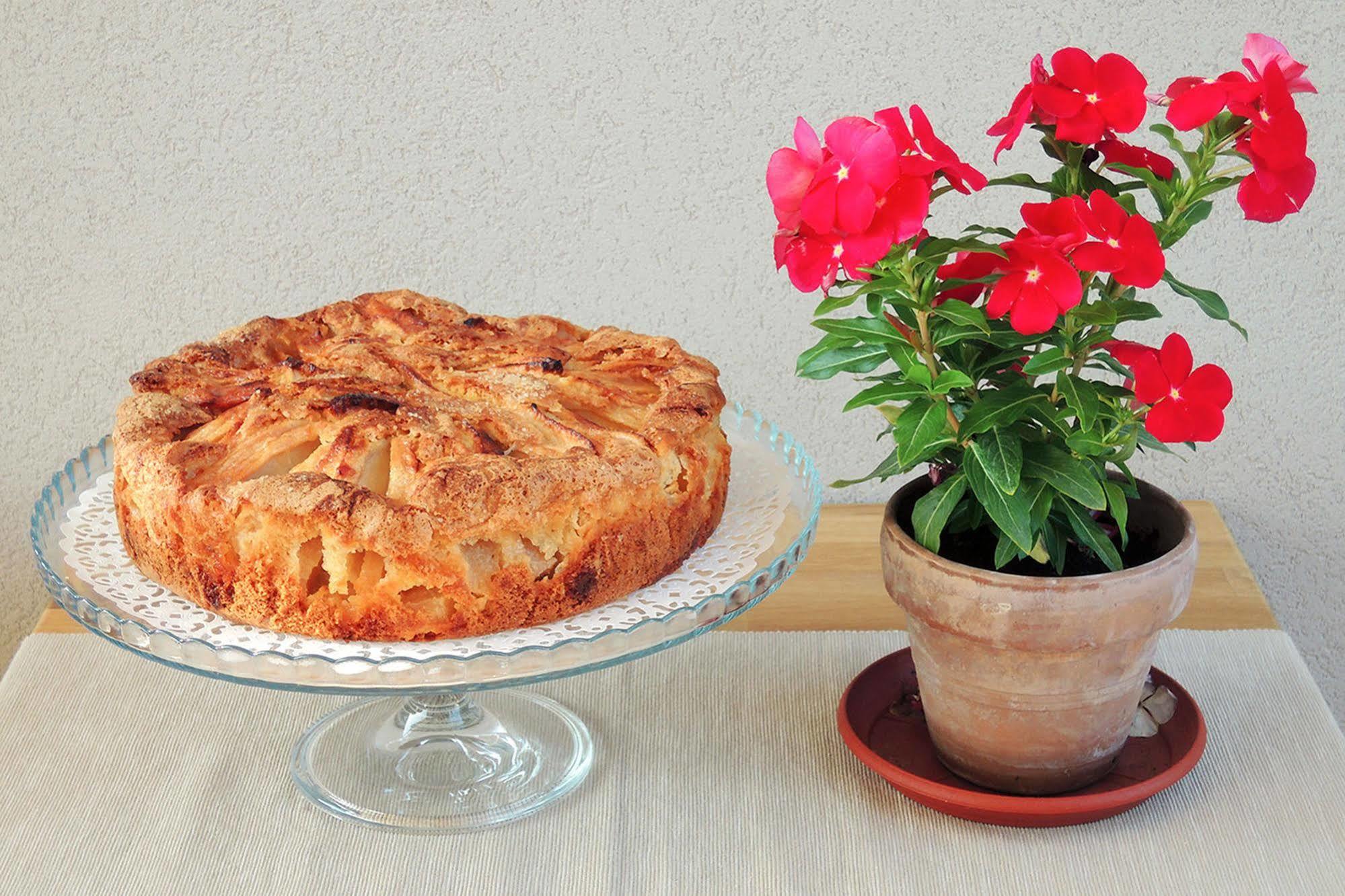 Terrasole Bakery B&B Terrasini Exteriér fotografie